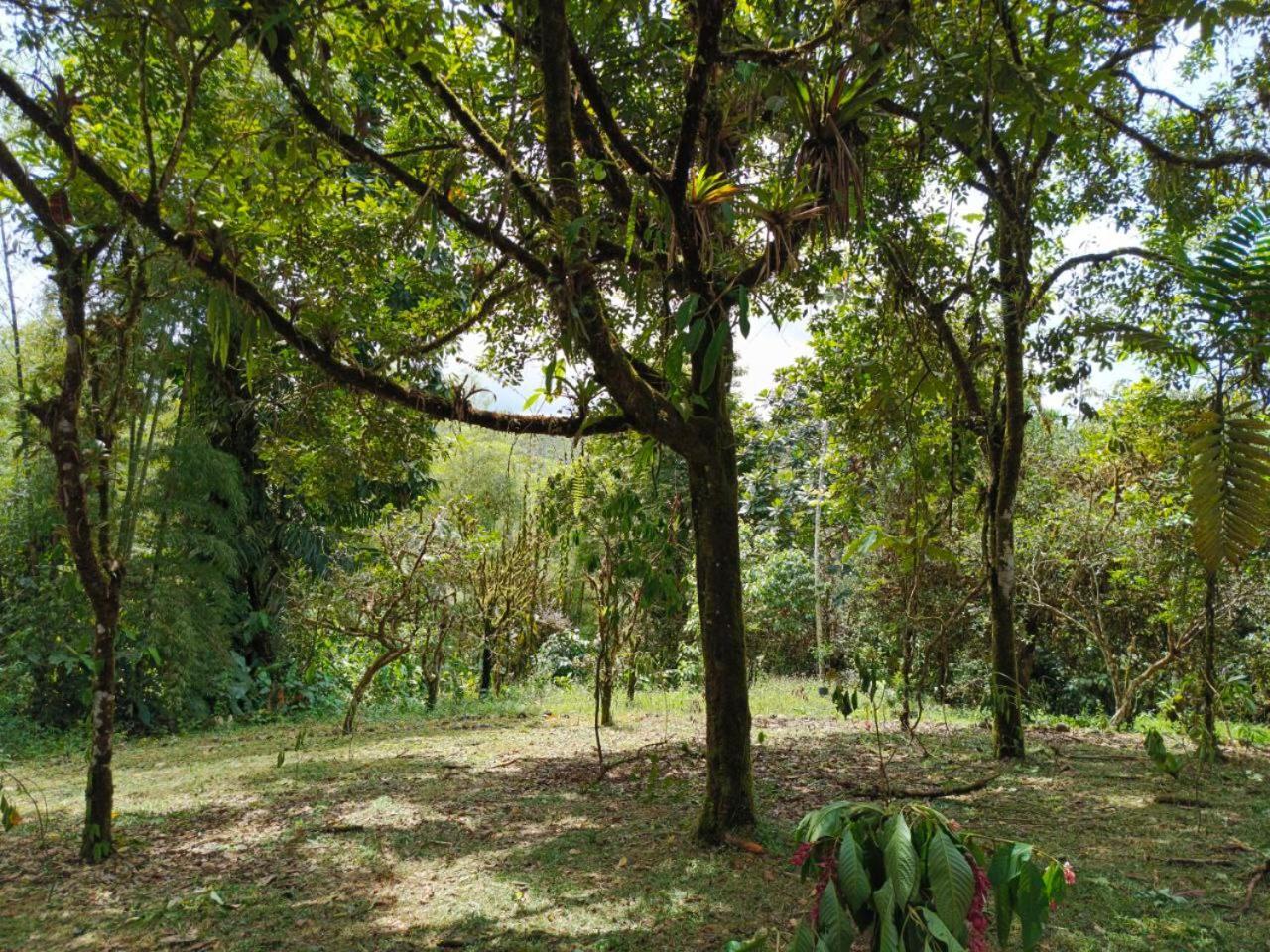 Hosteria Sapos Y Ranas Milpe ภายนอก รูปภาพ